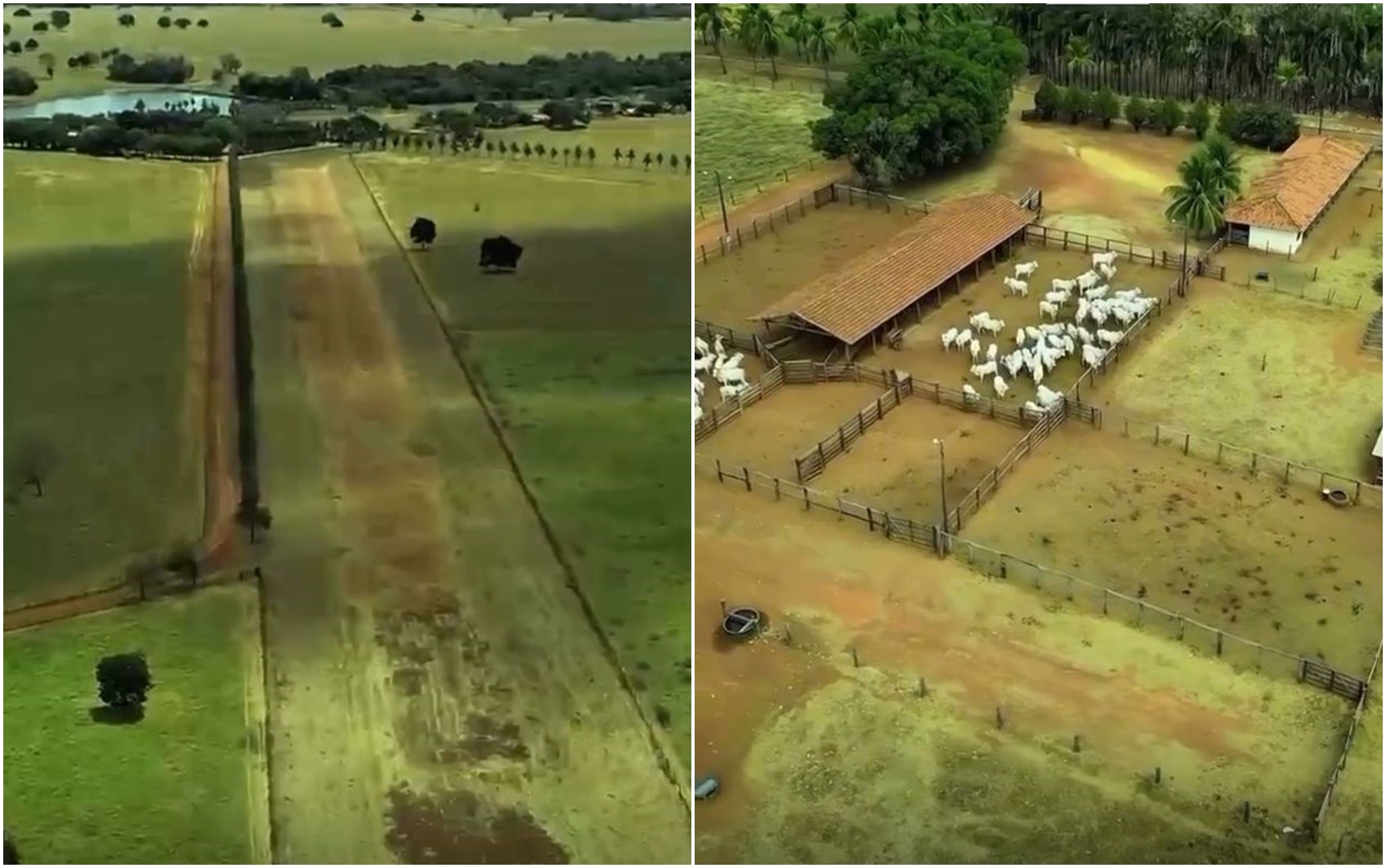foto Not&iacute;cia Goiânia